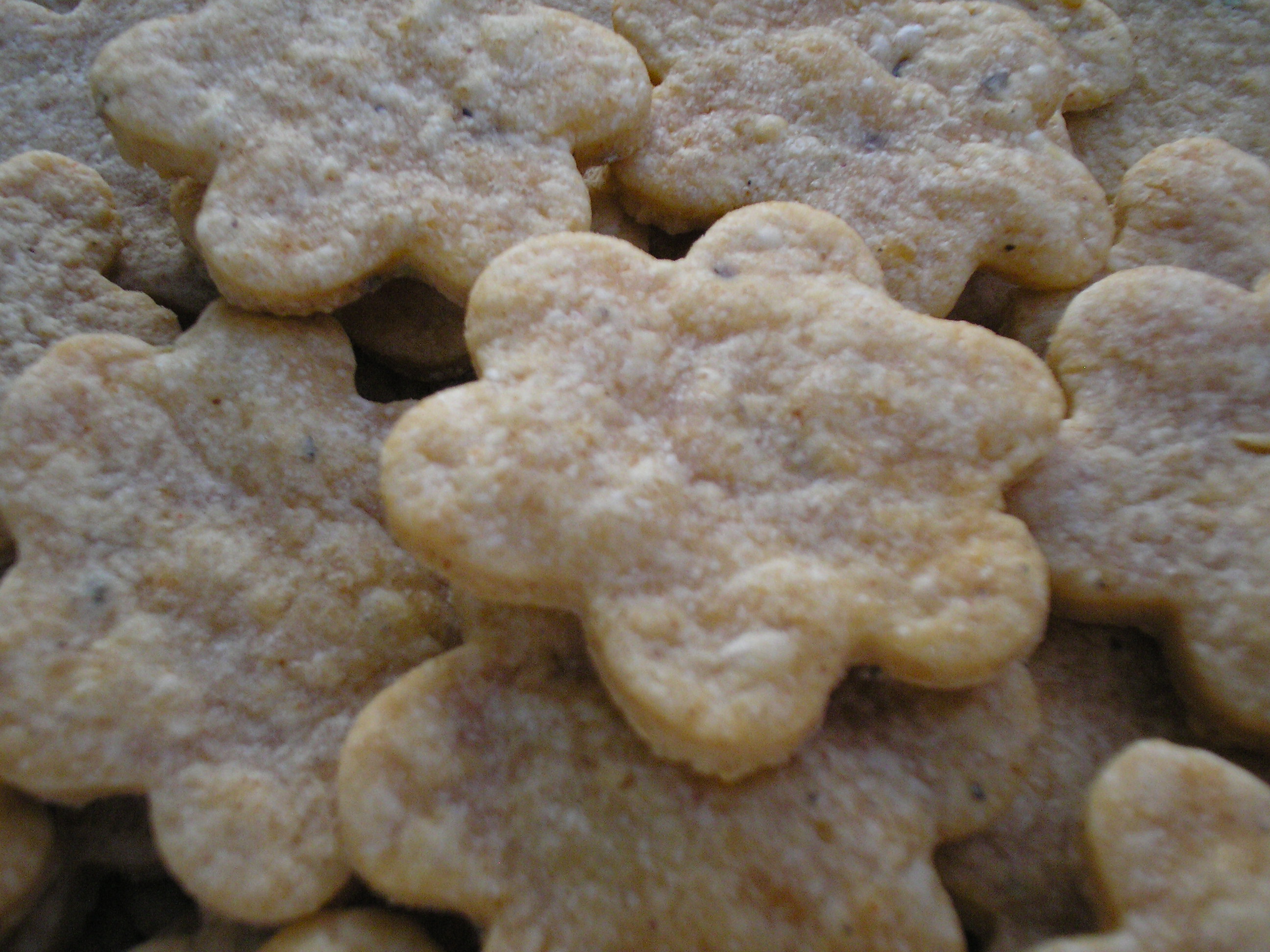 close up of crackers